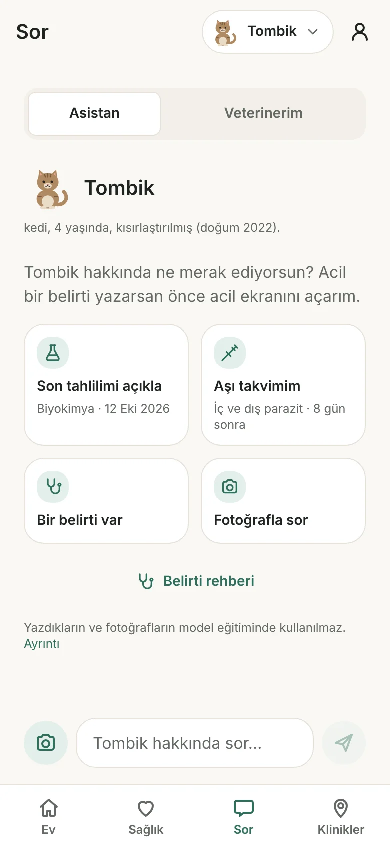 Sor ekranı: kayıtlara dayalı öneri kartları